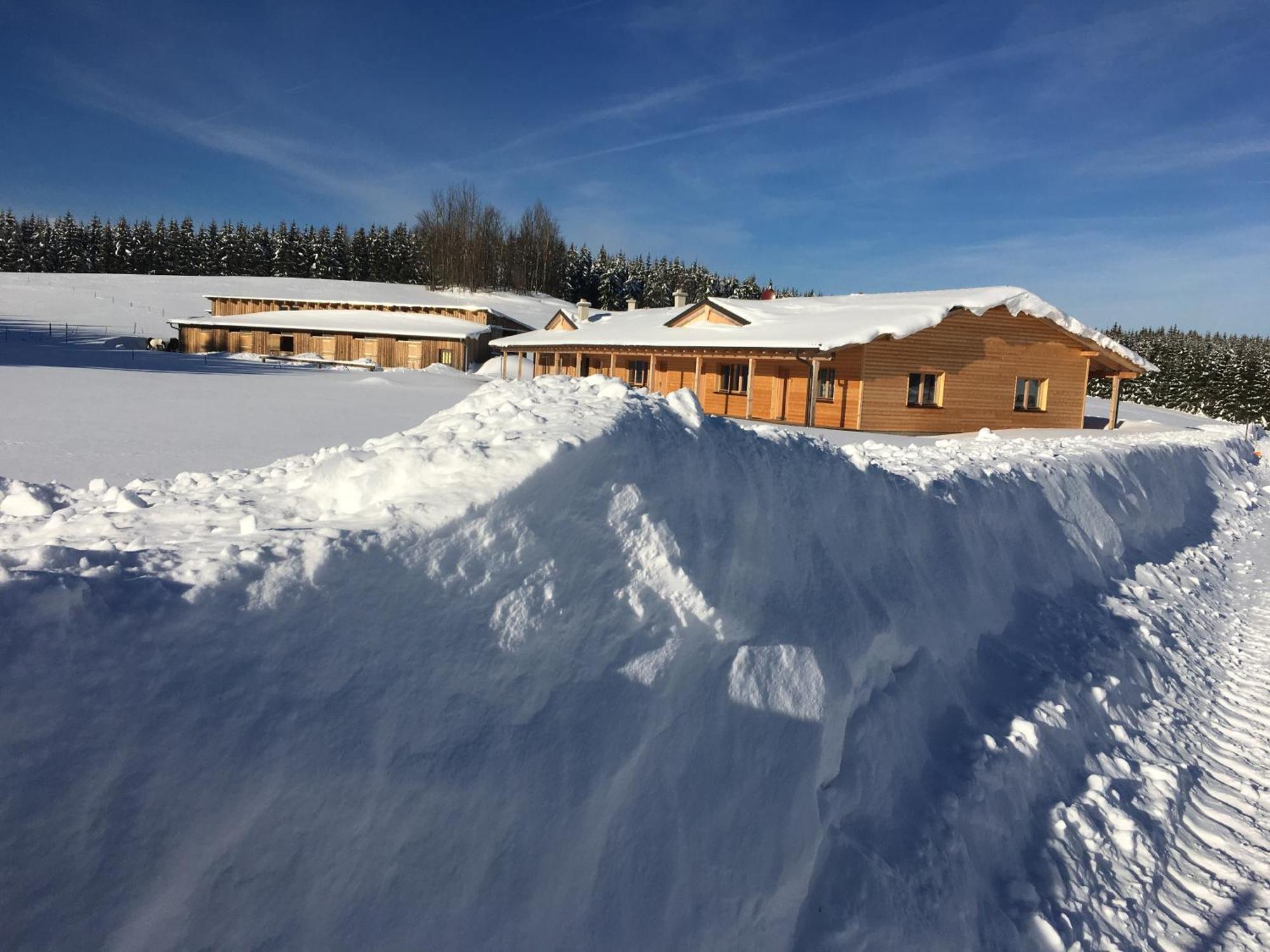 Big Sky Ranch Bed & Breakfast Liebenau  Dış mekan fotoğraf